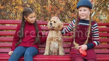 两个女孩朋友<strong>坐在</strong>长凳上，一起<strong>坐在</strong>秋天<strong>公园里</strong>的<strong>公</strong>鸡猎犬。 快乐的女孩在<strong>公</strong>园长椅上抚摸可爱的狗
